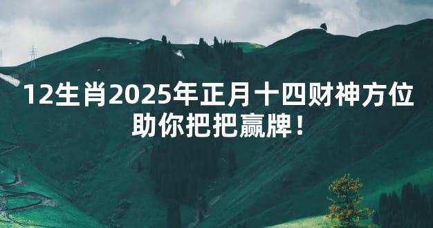 12生肖2025年正月十四财神方位助你把把赢牌！