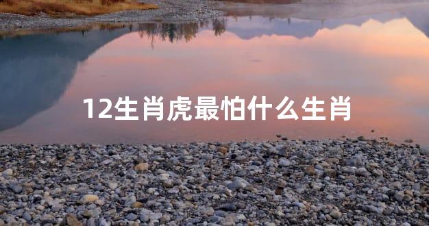 12生肖虎最怕什么生肖
