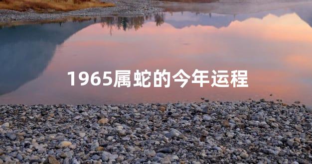1965属蛇的今年运程