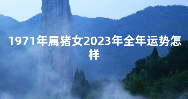 1971年属猪女2023年全年运势怎样