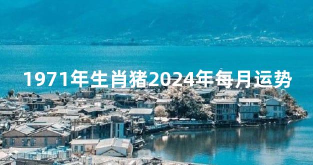 1971年生肖猪2024年每月运势