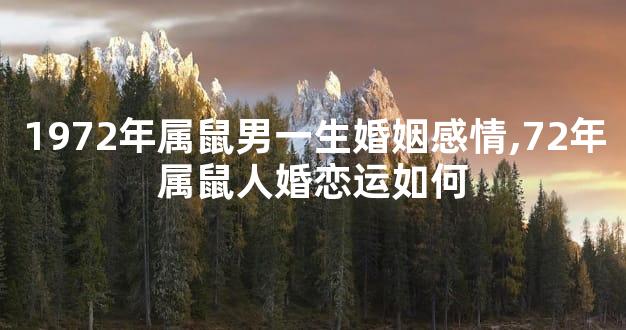 1972年属鼠男一生婚姻感情,72年属鼠人婚恋运如何