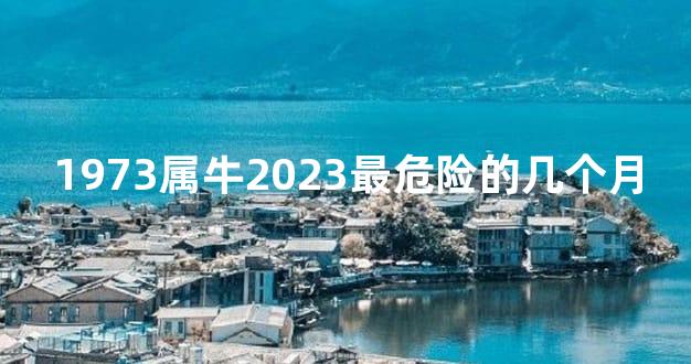 1973属牛2023最危险的几个月