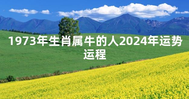 1973年生肖属牛的人2024年运势运程