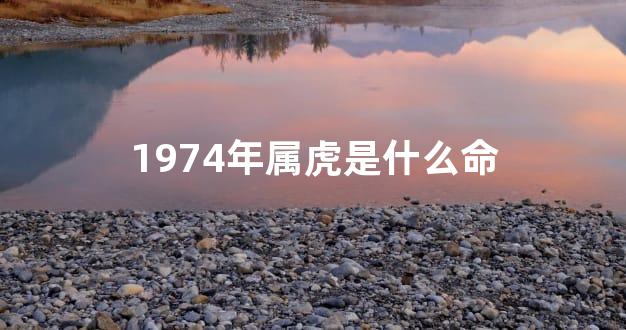 1974年属虎是什么命