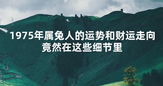 1975年属兔人的运势和财运走向竟然在这些细节里