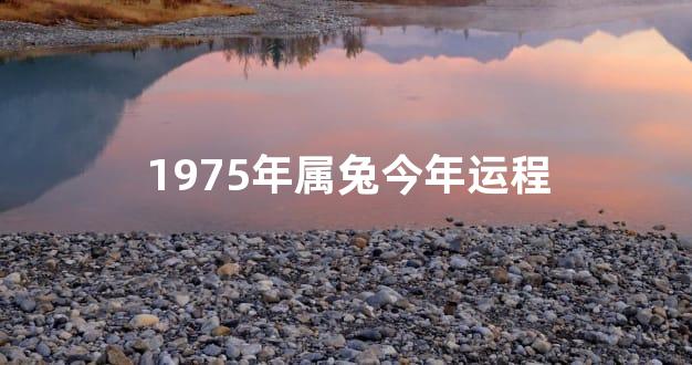 1975年属兔今年运程