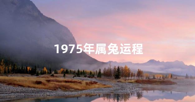1975年属兔运程