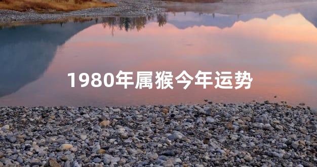 1980年属猴今年运势