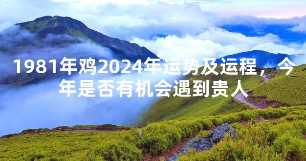 1981年鸡2024年运势及运程，今年是否有机会遇到贵人