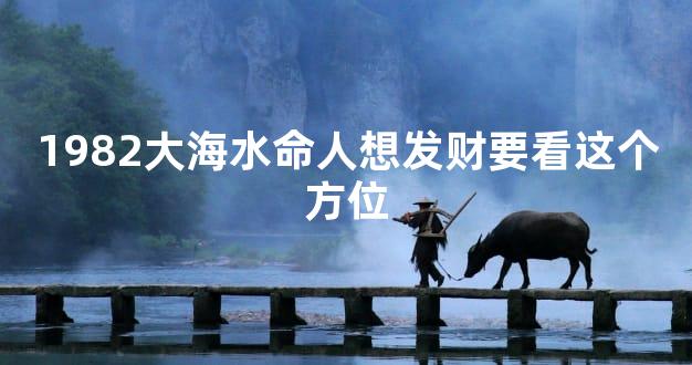 1982大海水命人想发财要看这个方位