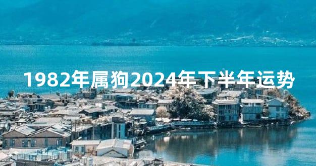 1982年属狗2024年下半年运势
