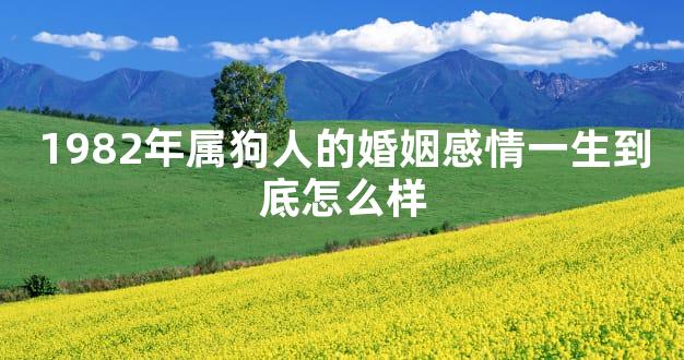 1982年属狗人的婚姻感情一生到底怎么样