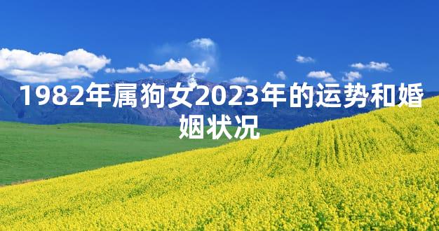 1982年属狗女2023年的运势和婚姻状况