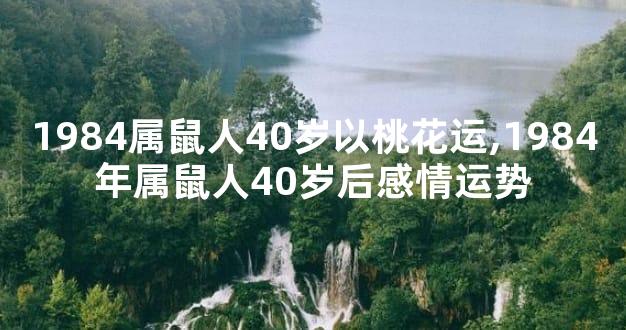 1984属鼠人40岁以桃花运,1984年属鼠人40岁后感情运势