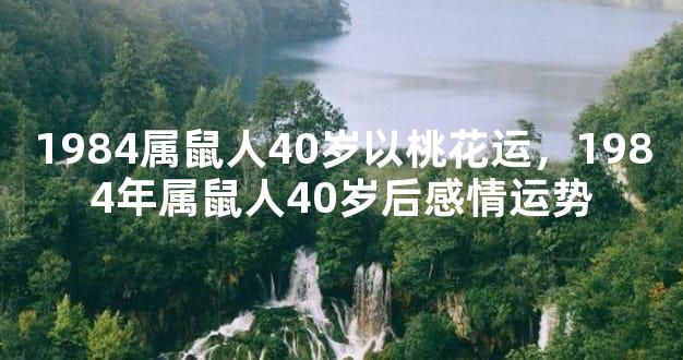 1984属鼠人40岁以桃花运，1984年属鼠人40岁后感情运势