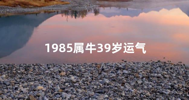 1985属牛39岁运气
