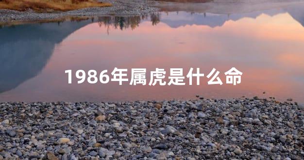 1986年属虎是什么命