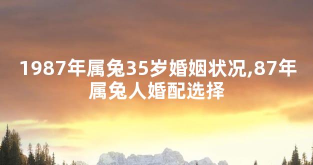 1987年属兔35岁婚姻状况,87年属兔人婚配选择
