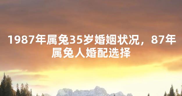1987年属兔35岁婚姻状况，87年属兔人婚配选择