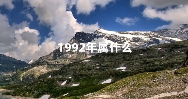 1992年属什么
