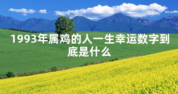 1993年属鸡的人一生幸运数字到底是什么