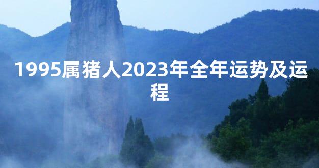 1995属猪人2023年全年运势及运程