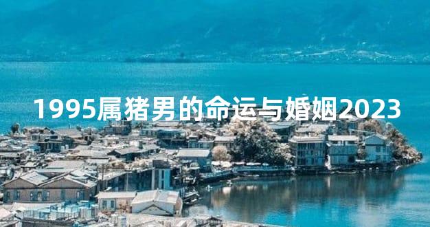 1995属猪男的命运与婚姻2023