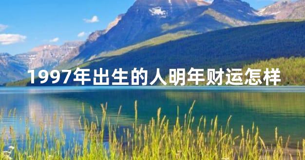 1997年出生的人明年财运怎样