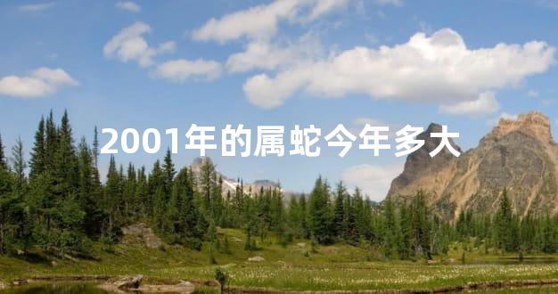 2001年的属蛇今年多大