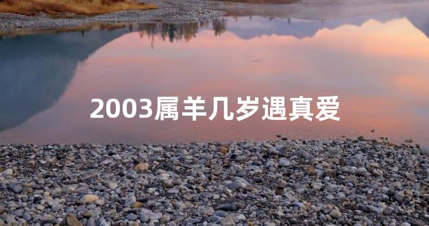 2003属羊几岁遇真爱