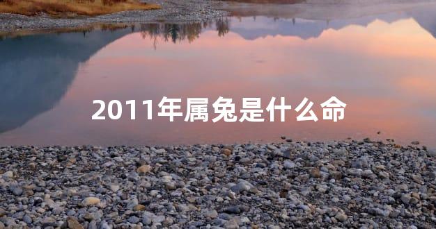 2011年属兔是什么命