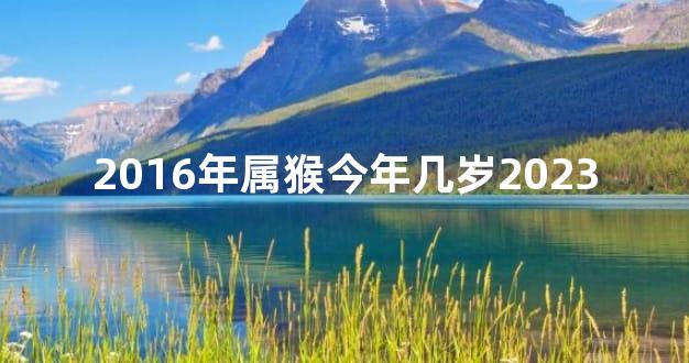 2016年属猴今年几岁2023