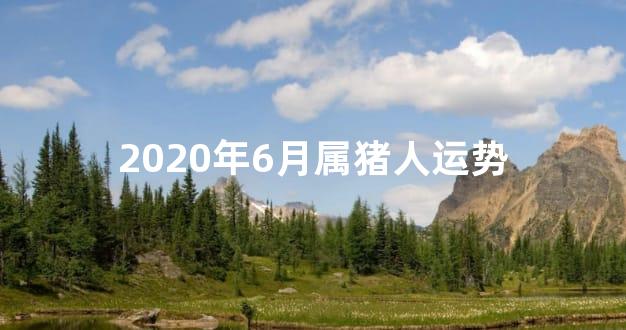 2020年6月属猪人运势