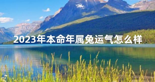 2023年本命年属兔运气怎么样