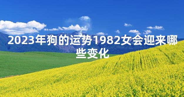2023年狗的运势1982女会迎来哪些变化