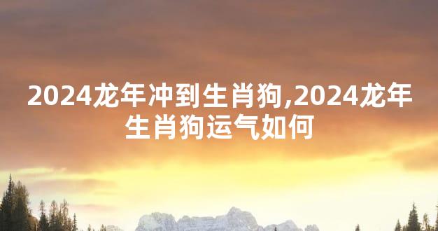 2024龙年冲到生肖狗,2024龙年生肖狗运气如何