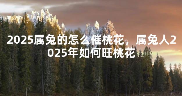 2025属兔的怎么催桃花，属兔人2025年如何旺桃花