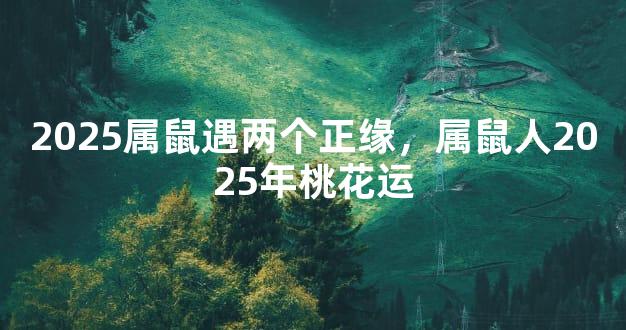 2025属鼠遇两个正缘，属鼠人2025年桃花运