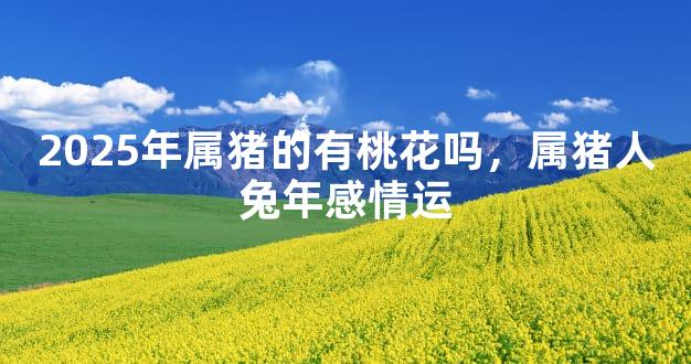 2025年属猪的有桃花吗，属猪人兔年感情运