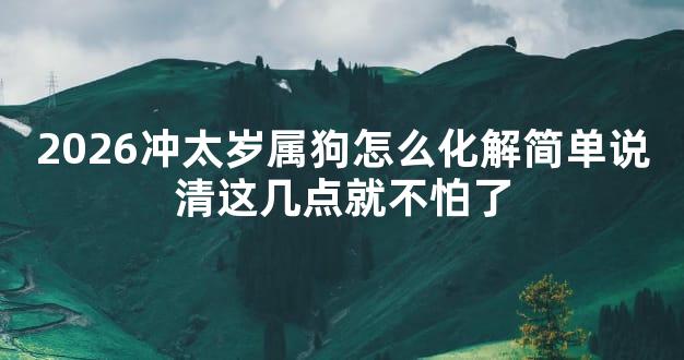 2026冲太岁属狗怎么化解简单说清这几点就不怕了