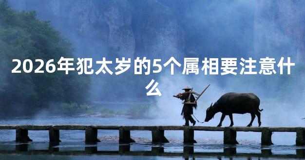 2026年犯太岁的5个属相要注意什么