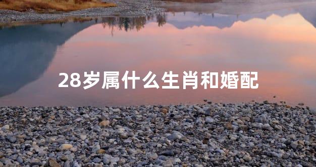 28岁属什么生肖和婚配