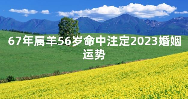 67年属羊56岁命中注定2023婚姻运势