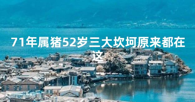 71年属猪52岁三大坎坷原来都在这