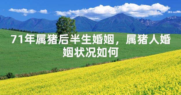 71年属猪后半生婚姻，属猪人婚姻状况如何