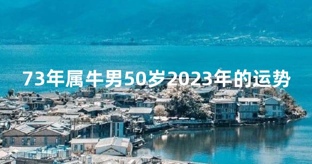 73年属牛男50岁2023年的运势