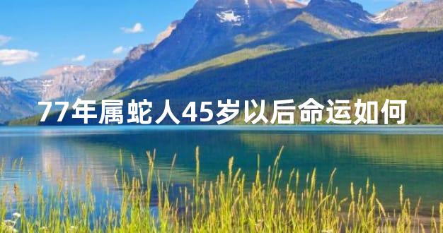 77年属蛇人45岁以后命运如何