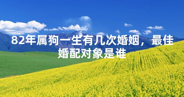 82年属狗一生有几次婚姻，最佳婚配对象是谁