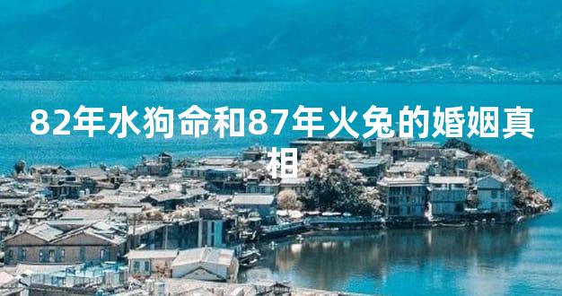 82年水狗命和87年火兔的婚姻真相